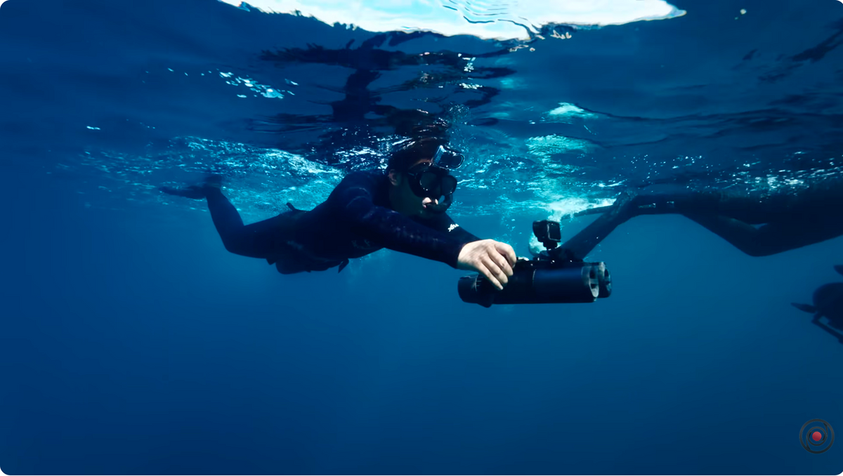 How Underwater Filmmakers Get Those Impossible Shots
