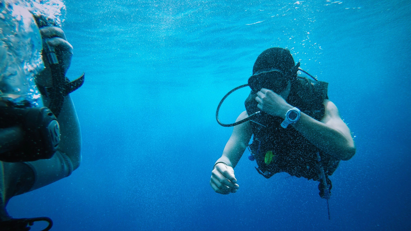 Diving Diary - The First Step