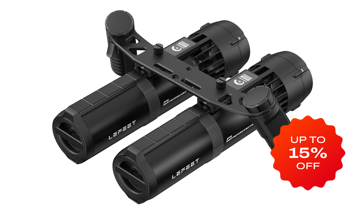 P1 / P1 XR Dual Unit