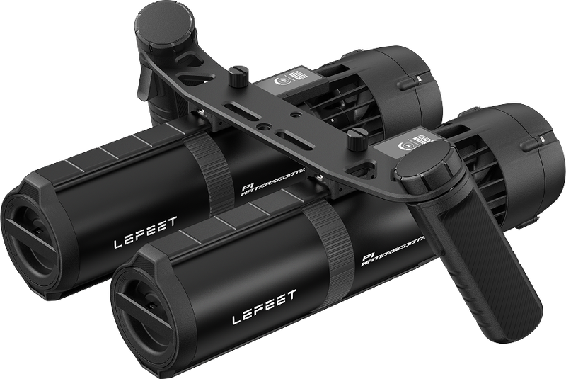 P1 Dual Unit