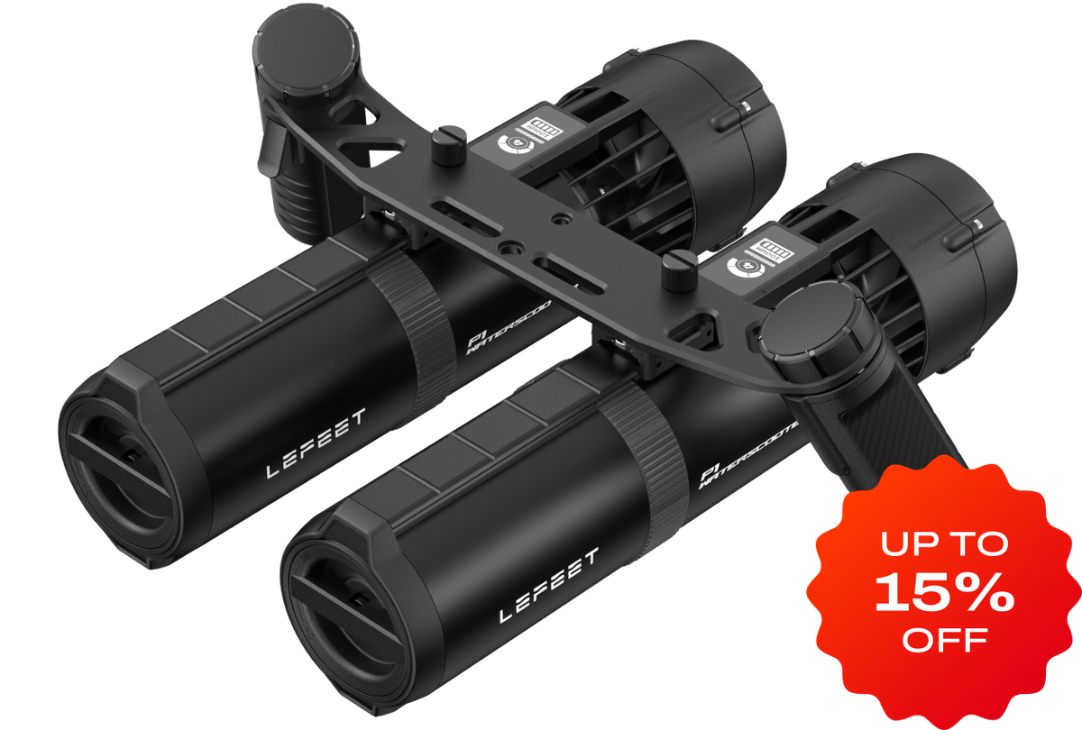 P1 / P1 XR Dual Unit