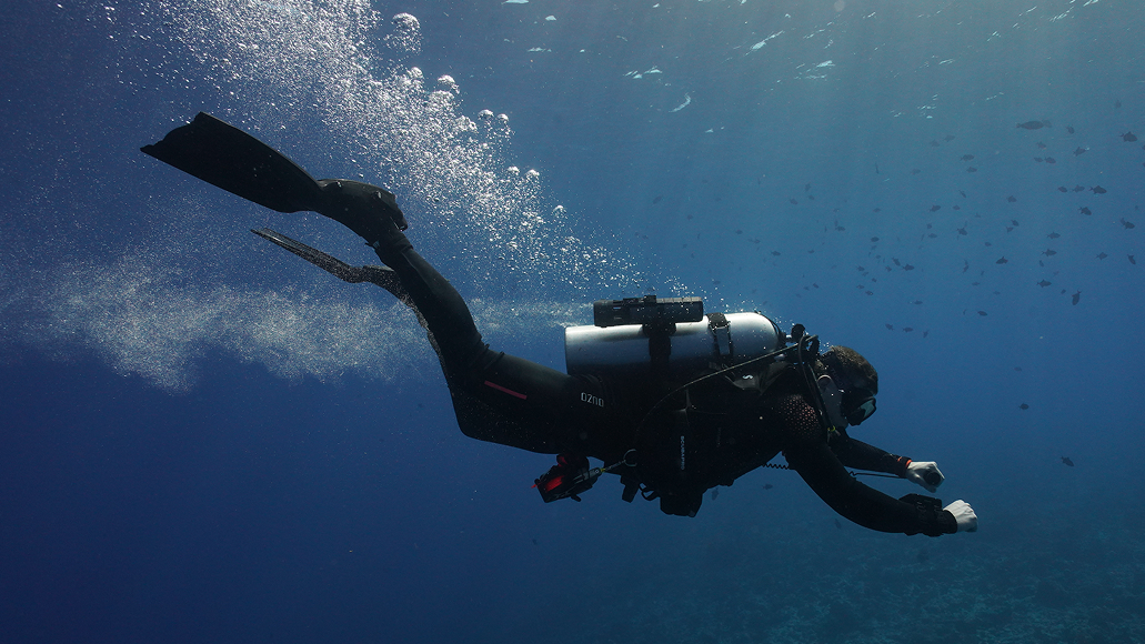 Recreational Diving