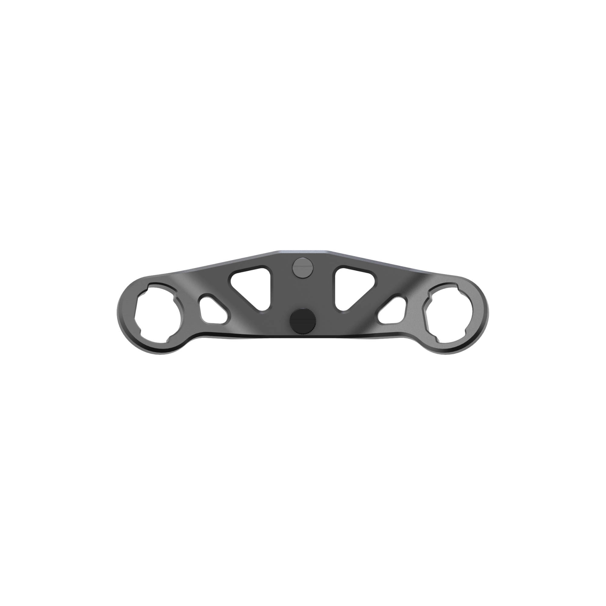 P1 / P1 XR Standard Bracket